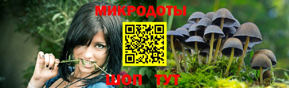Элиста  Галлюциногенные грибы ЛСД  купить наркотик  Вход с VPN  Галлюциногенные грибы ЛСД 